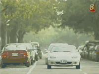 车牌号 豪车 红绿灯 让行