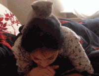 喵星人 搞笑