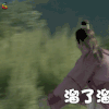 上错花轿嫁对郎 溜了溜了 soogif soogif出品
