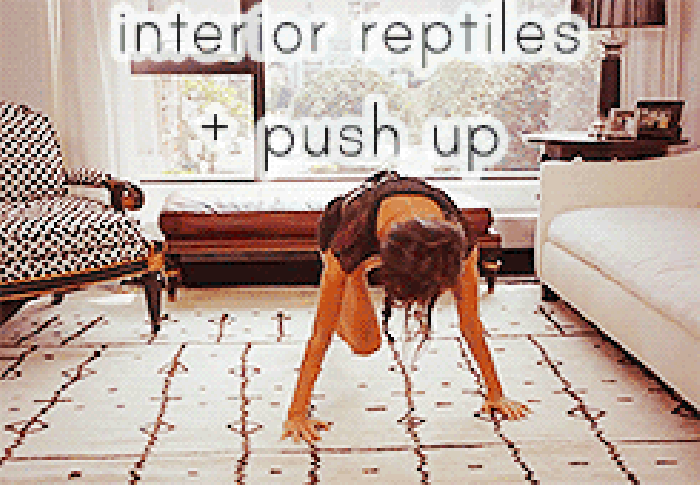 减肥 锻炼 运动 健身 interior reptiles pushup