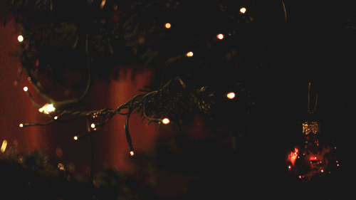 冬天 季节  圣诞灯, 圣诞节