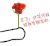 花给你 撩妹 送花