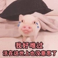 萌宠 猪 生无可恋 活着没意思 憨憨 呆萌