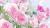 粉色 花 漂亮  春日时光 花开时节 表白