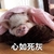 心如死灰 恶搞 猪 睡觉