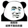 熊猫头 搞笑 雷人 斗图 哭泣 我姓郑 却挣不到你的爱