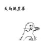 天马流星拳 功夫 动作 武林绝学