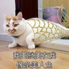 萌宠 猫星人 我美就美在我像美人鱼 可爱 呆萌 可爱