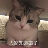 萌宠 猫星人 人家知道错了 我道歉 搞怪 逗