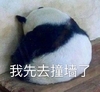萌宠 熊猫 我先去撞墙了 面壁思过 呆萌 可爱