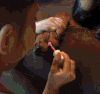 小狗 吹风 臭美 可爱