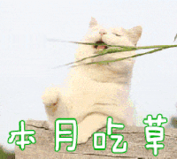 猫咪 可爱 本月吃草 搞笑