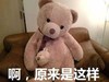小熊 可爱 思考 啊原来是这样