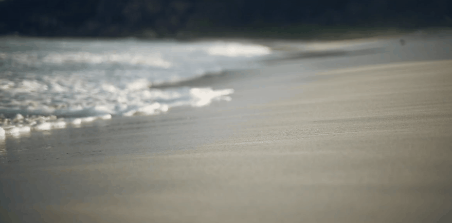 Paul&Wex 塞舌尔群岛 沙滩 海浪 记录片 风景