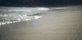 Paul&Wex 塞舌尔群岛 沙滩 海浪 记录片 风景