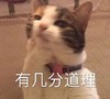 萌宠 猫星人 有几分道理 思考 搞怪 呆萌