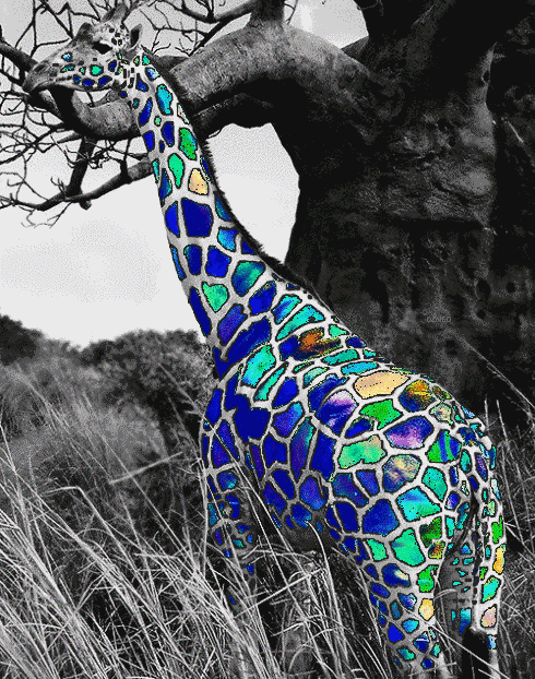 长颈鹿 giraffe 迷幻 彩色 酷炫