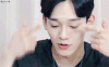 exo chen 欧巴 组合 帅气