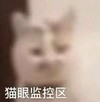 萌宠 猫星人 猫眼监控区 模糊 呆萌 可爱