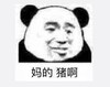 文字表情包 暴漫 妈的猪啊 搞笑 逗 沙雕