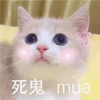 猫咪 可爱猫 死鬼 mua 搞怪 逗