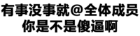 有事没事就 全体成员 你是不是傻逼啊 得瑟 恶搞