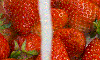 草莓 好吃 红色 香甜