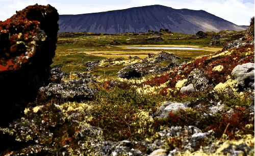 3分钟人生 冰岛 荒草 风景 杂石