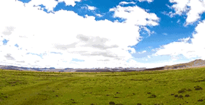 西藏 草原 白云 蓝天