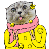 猫斯卡plus 猫 剪刀手 耶
