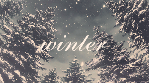 冬天 季节 ,森林, 冷