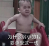 本特利 萌娃 为什么弱小的我要承受这一切 可爱 搞笑 逗