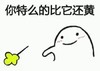 给你个东西 小花 扔掉 你特么的比它还黄