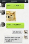 小狗 聊天 微信 骂人