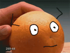 橙子 挂了 食物 水果