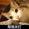 猫咪 关灯 搞笑 可爱