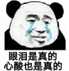 斗图 熊猫头 眼泪是真的 心酸也是真的 委屈 难受