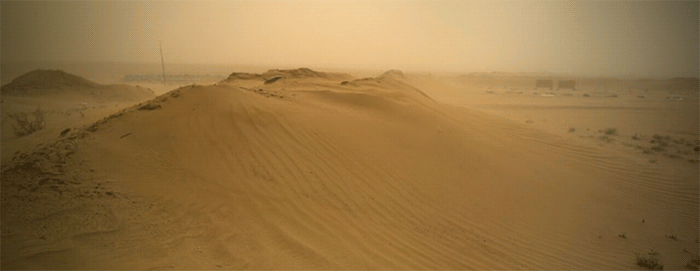 沙漠 desert