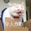 萌宠 猫星人 令人作呕 想吐 搞怪 逗