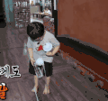 宋民国 咕咕 小可爱 宋民国