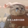 萌宠 喵星人 你怎么能欺负我 难受 呆萌 可爱