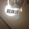 萌宠 喵星人 起床床 起床了 呆萌 可爱