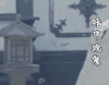 soogif soogif出品 包文婧 暗中观察