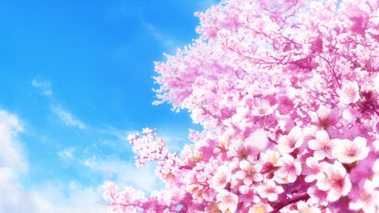 唯美 花瓣 漂亮 蓝天