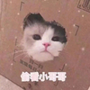 萌宠 猫星人 偷看小哥哥 搞怪 呆萌 逗