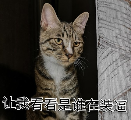 萌宠 可爱 喵星人 逗 文字表情包