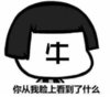熊猫头 文字表情包 牛 你从我脸上看到了什么 搞笑 逗 沙雕