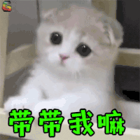 萌宠 猫咪 猫 吃鸡 带带我嘛 soogif soogif出品