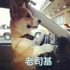 老司基 搞笑 斗图 滑稽