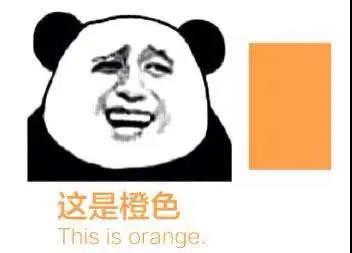暴漫 熊猫头 这是橙色 给你点颜色看看 搞怪 逗